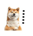 ドヤっとダンディな柴犬（個別スタンプ：34）