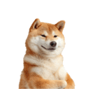 ドヤっとダンディな柴犬（個別スタンプ：40）