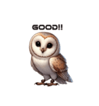 メンフクロウの英語ver（個別スタンプ：5）