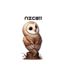 メンフクロウの英語ver（個別スタンプ：6）