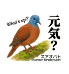 〜鳩〜（個別スタンプ：10）