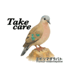 〜鳩〜（個別スタンプ：12）