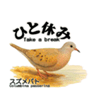 〜鳩〜（個別スタンプ：13）