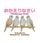 〜鳩〜（個別スタンプ：20）