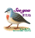 〜鳩〜（個別スタンプ：25）