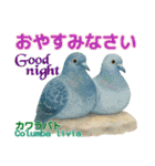 〜鳩〜（個別スタンプ：27）