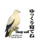 〜鳩〜（個別スタンプ：28）