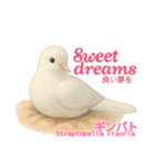 〜鳩〜（個別スタンプ：29）