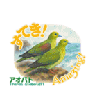 〜鳩〜（個別スタンプ：34）