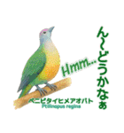 〜鳩〜（個別スタンプ：35）