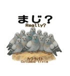 〜鳩〜（個別スタンプ：36）