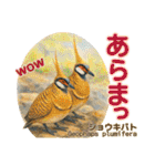 〜鳩〜（個別スタンプ：37）
