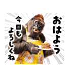 毋ゴリラ【長文で伝える気持ち】（個別スタンプ：2）