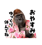 毋ゴリラ【長文で伝える気持ち】（個別スタンプ：4）