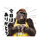 毋ゴリラ【長文で伝える気持ち】（個別スタンプ：11）