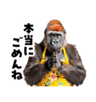 毋ゴリラ【長文で伝える気持ち】（個別スタンプ：13）