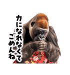 毋ゴリラ【長文で伝える気持ち】（個別スタンプ：15）