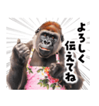 毋ゴリラ【長文で伝える気持ち】（個別スタンプ：18）
