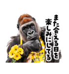 毋ゴリラ【長文で伝える気持ち】（個別スタンプ：20）