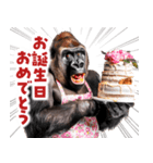 毋ゴリラ【長文で伝える気持ち】（個別スタンプ：24）