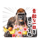 毋ゴリラ【長文で伝える気持ち】（個別スタンプ：25）