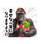 毋ゴリラ【長文で伝える気持ち】（個別スタンプ：26）