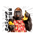 毋ゴリラ【長文で伝える気持ち】（個別スタンプ：27）