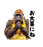 毋ゴリラ【長文で伝える気持ち】（個別スタンプ：28）