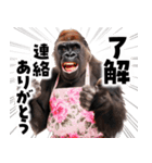 毋ゴリラ【長文で伝える気持ち】（個別スタンプ：32）