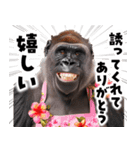 毋ゴリラ【長文で伝える気持ち】（個別スタンプ：36）
