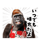 毋ゴリラ【長文で伝える気持ち】（個別スタンプ：38）