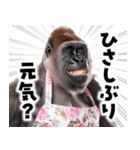 毋ゴリラ【長文で伝える気持ち】（個別スタンプ：39）