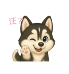 ふわかわ日和：ハスキー【台湾語】（個別スタンプ：1）