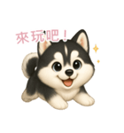 ふわかわ日和：ハスキー【台湾語】（個別スタンプ：2）