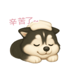 ふわかわ日和：ハスキー【台湾語】（個別スタンプ：6）
