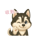 ふわかわ日和：ハスキー【台湾語】（個別スタンプ：9）