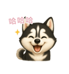 ふわかわ日和：ハスキー【台湾語】（個別スタンプ：11）