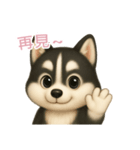 ふわかわ日和：ハスキー【台湾語】（個別スタンプ：16）
