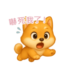 ふわかわ日和：柴犬【台湾語】（個別スタンプ：12）