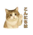 猫の愛ちゃんの日常（個別スタンプ：2）