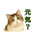 猫の愛ちゃんの日常（個別スタンプ：3）
