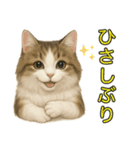 猫の愛ちゃんの日常（個別スタンプ：4）