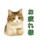 猫の愛ちゃんの日常（個別スタンプ：5）