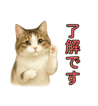 猫の愛ちゃんの日常（個別スタンプ：7）
