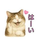猫の愛ちゃんの日常（個別スタンプ：8）
