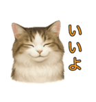 猫の愛ちゃんの日常（個別スタンプ：10）
