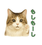 猫の愛ちゃんの日常（個別スタンプ：14）
