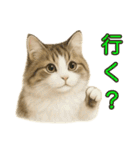 猫の愛ちゃんの日常（個別スタンプ：17）