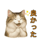 猫の愛ちゃんの日常（個別スタンプ：22）