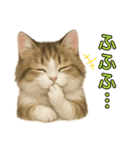 猫の愛ちゃんの日常（個別スタンプ：23）